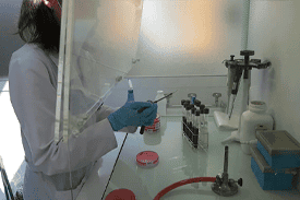 blog_Budget Flooring—a Good Choice For Medical & Pharmaceutical Industries?